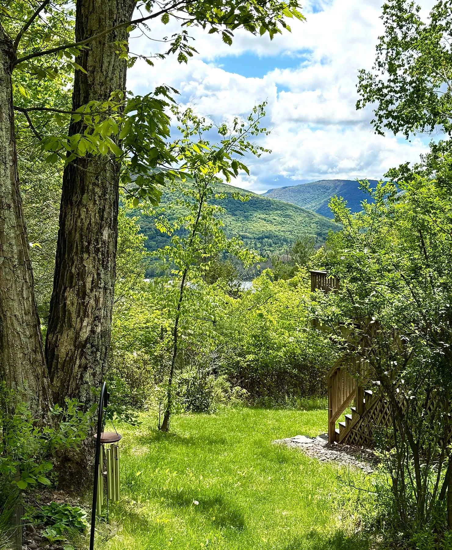 Stylish-mountain-house-reservoir-views-Summer-sideyard.jpg