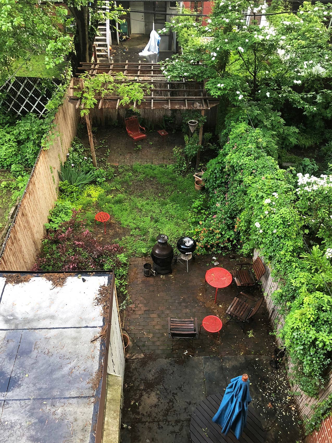 backyardsummer.jpg