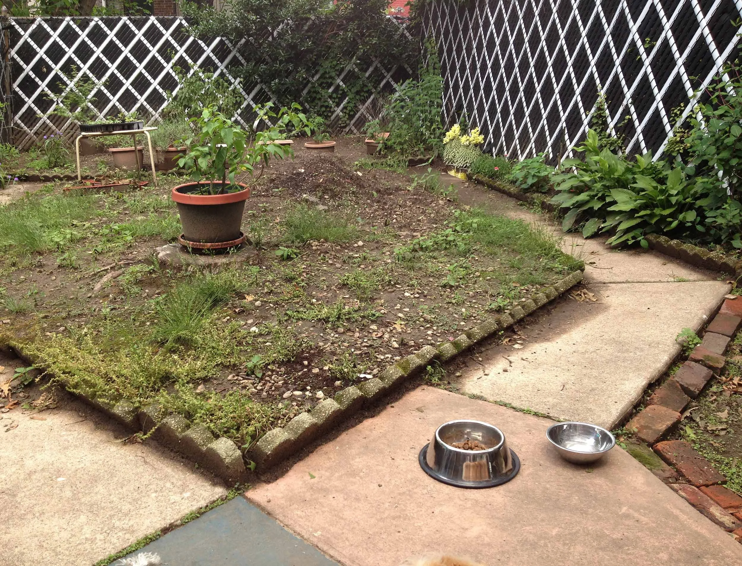 predemobackyardbrownstone.jpg