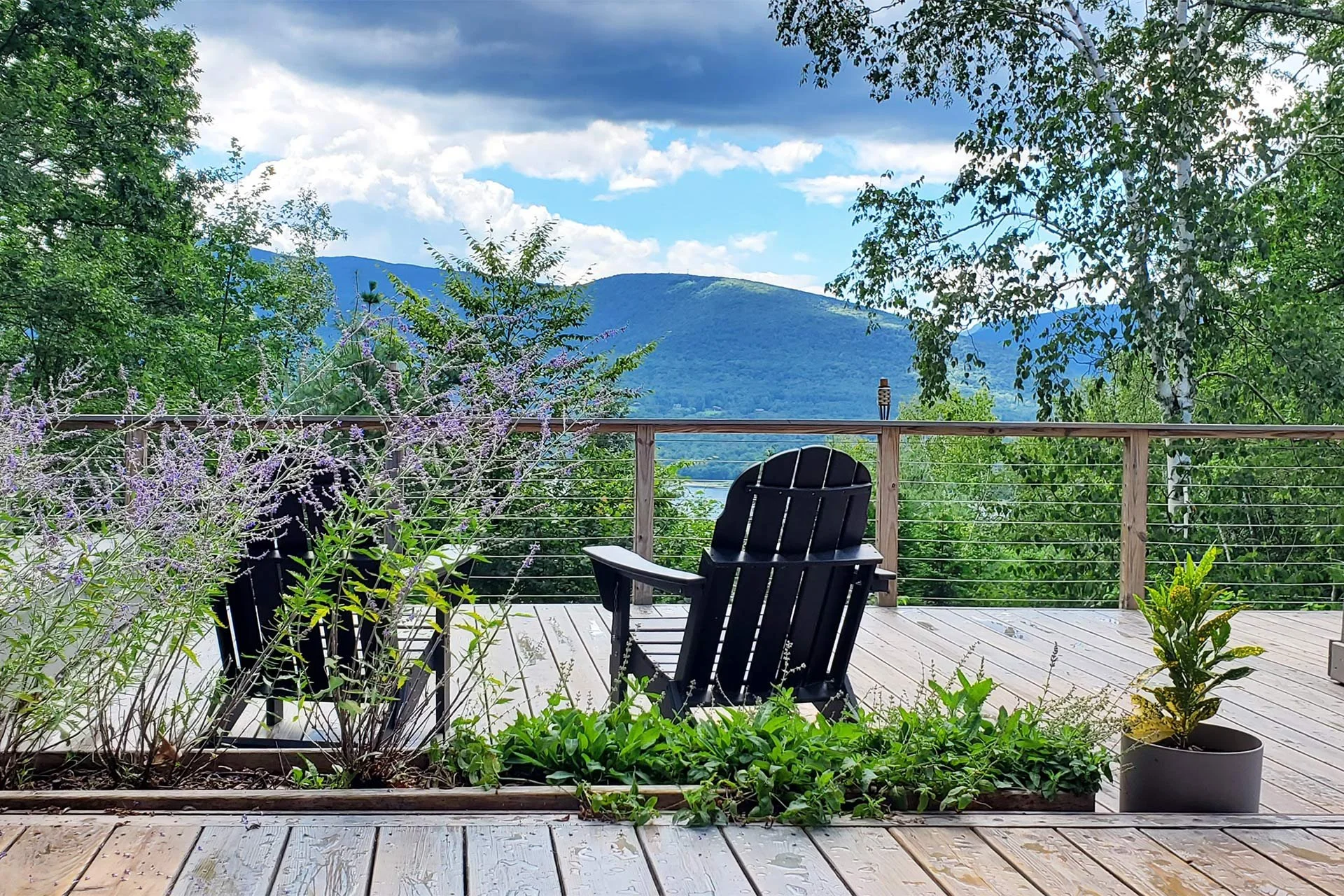 stylish-mountain-house-with-reservoir-views-Summer-lavender.jpg