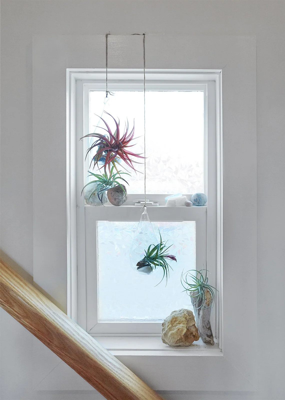crimsonprojectgallery1_libgardenwindow2.jpg