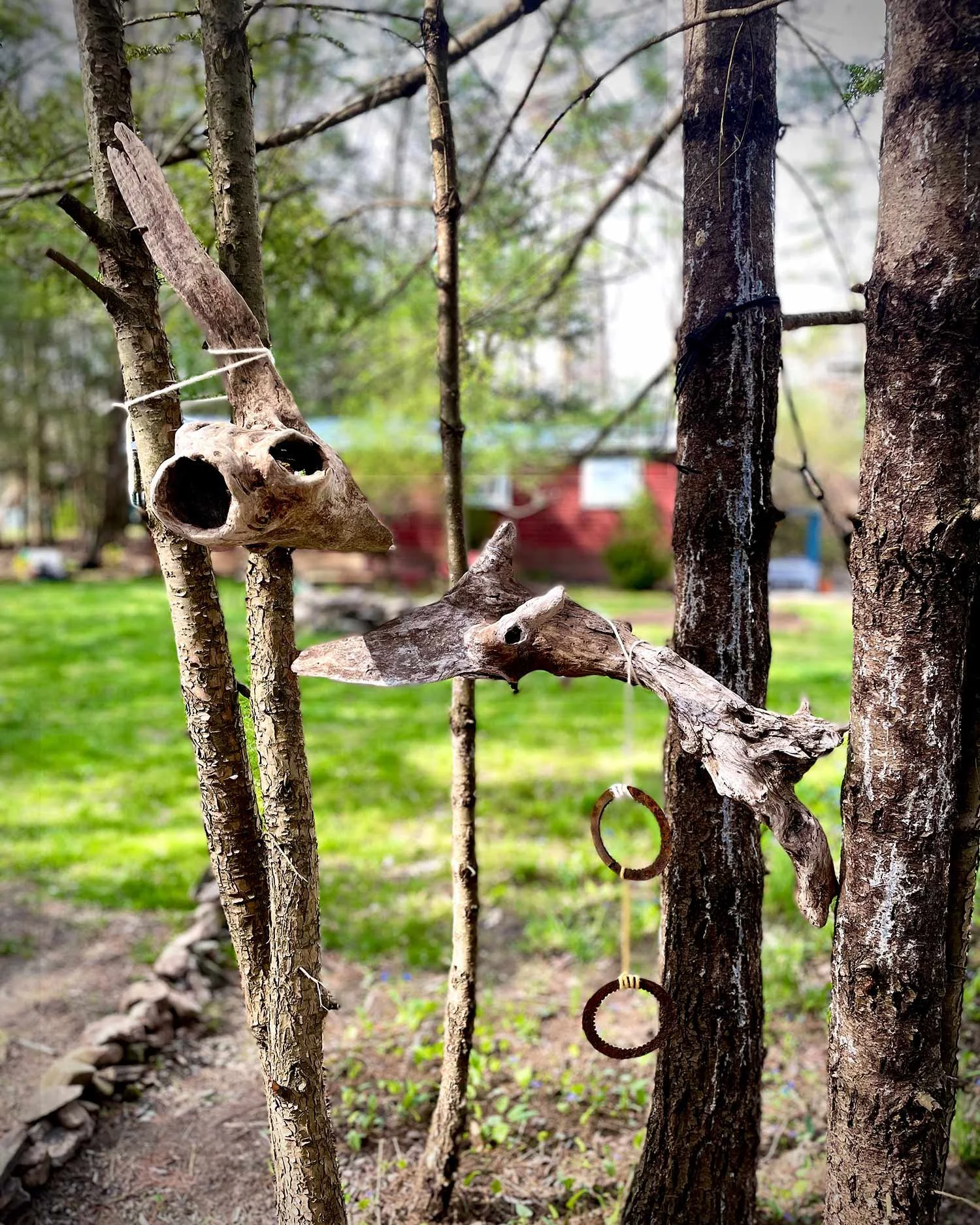 rosie-mccobb-art-and-design-sea-creatures-installation.jpg