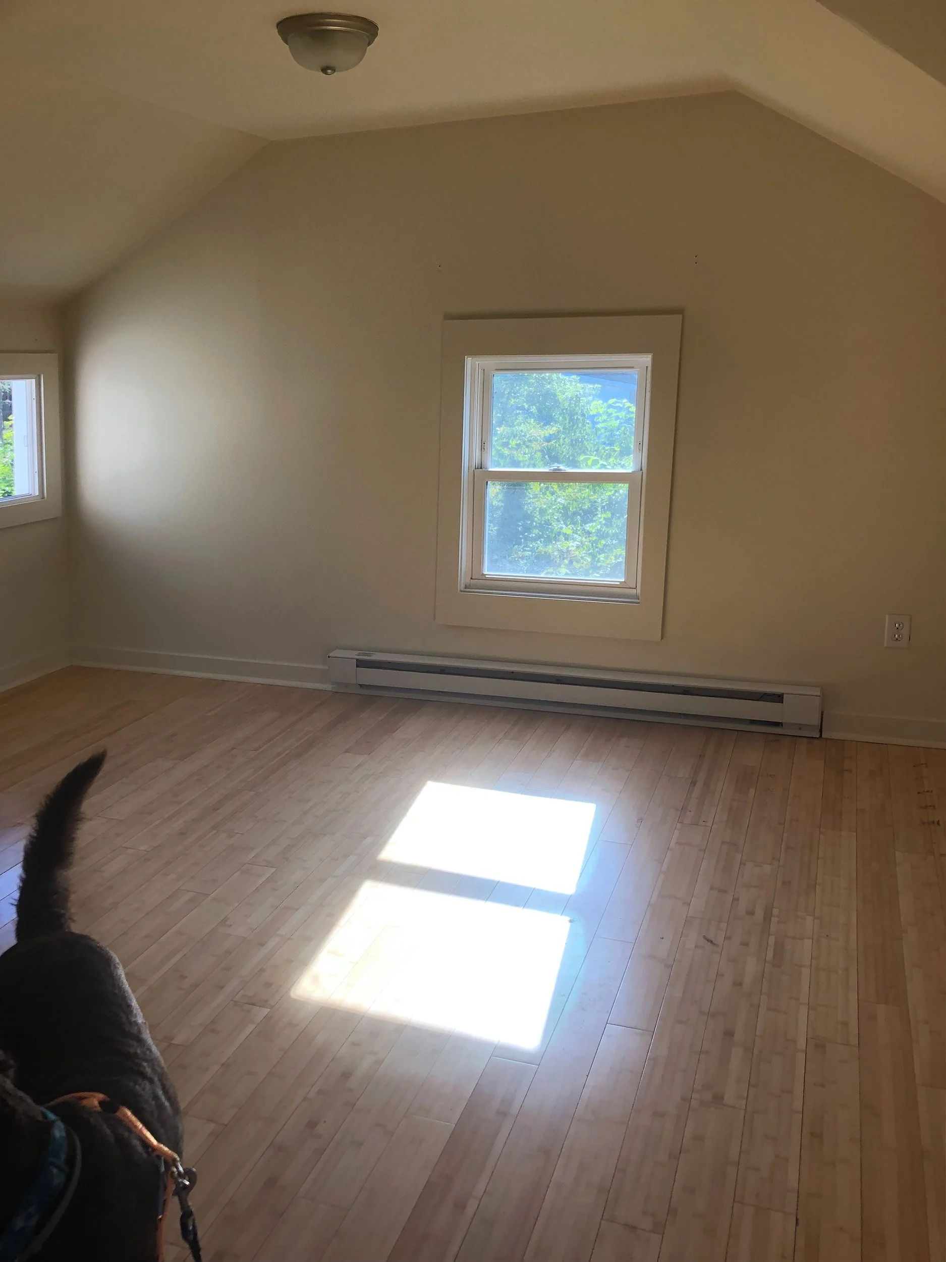 crimsonprojectgallery1_liblivingroombefore.jpg