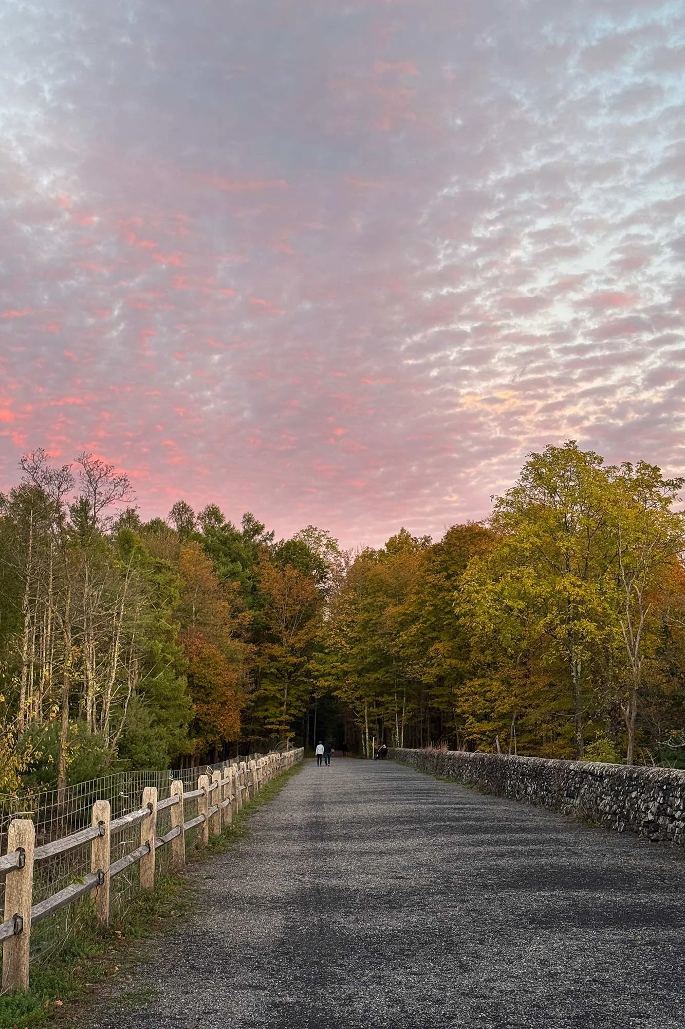 stylish-mountain-house-with-reservoir-views-ashokan-rail-trail-fall.jpg