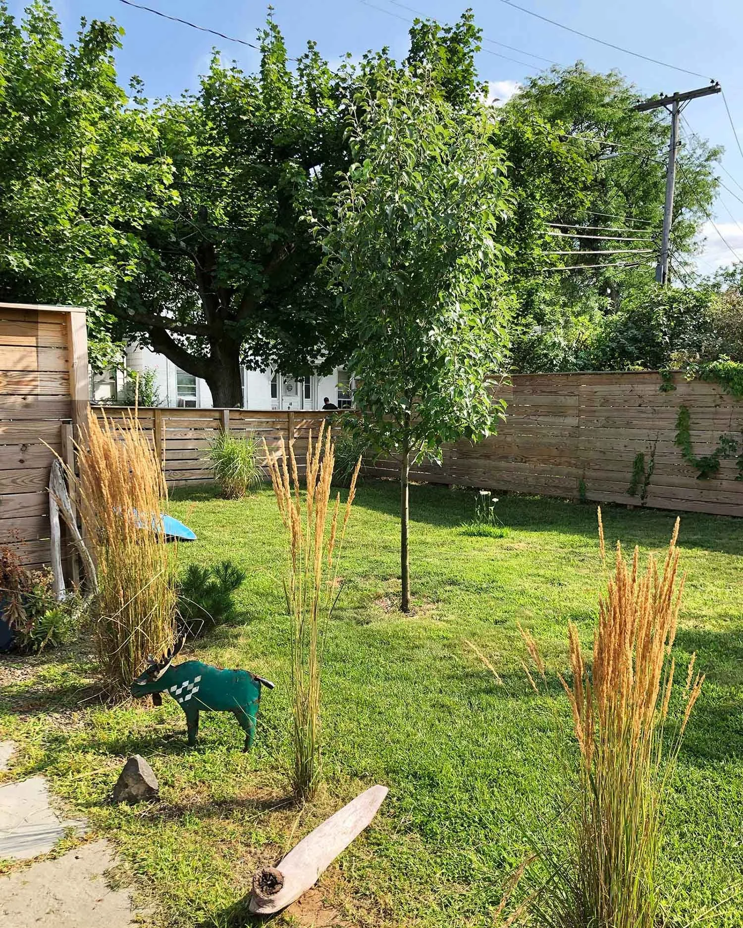 hudson-valley-design-lovers-retreat-front-yard.jpg