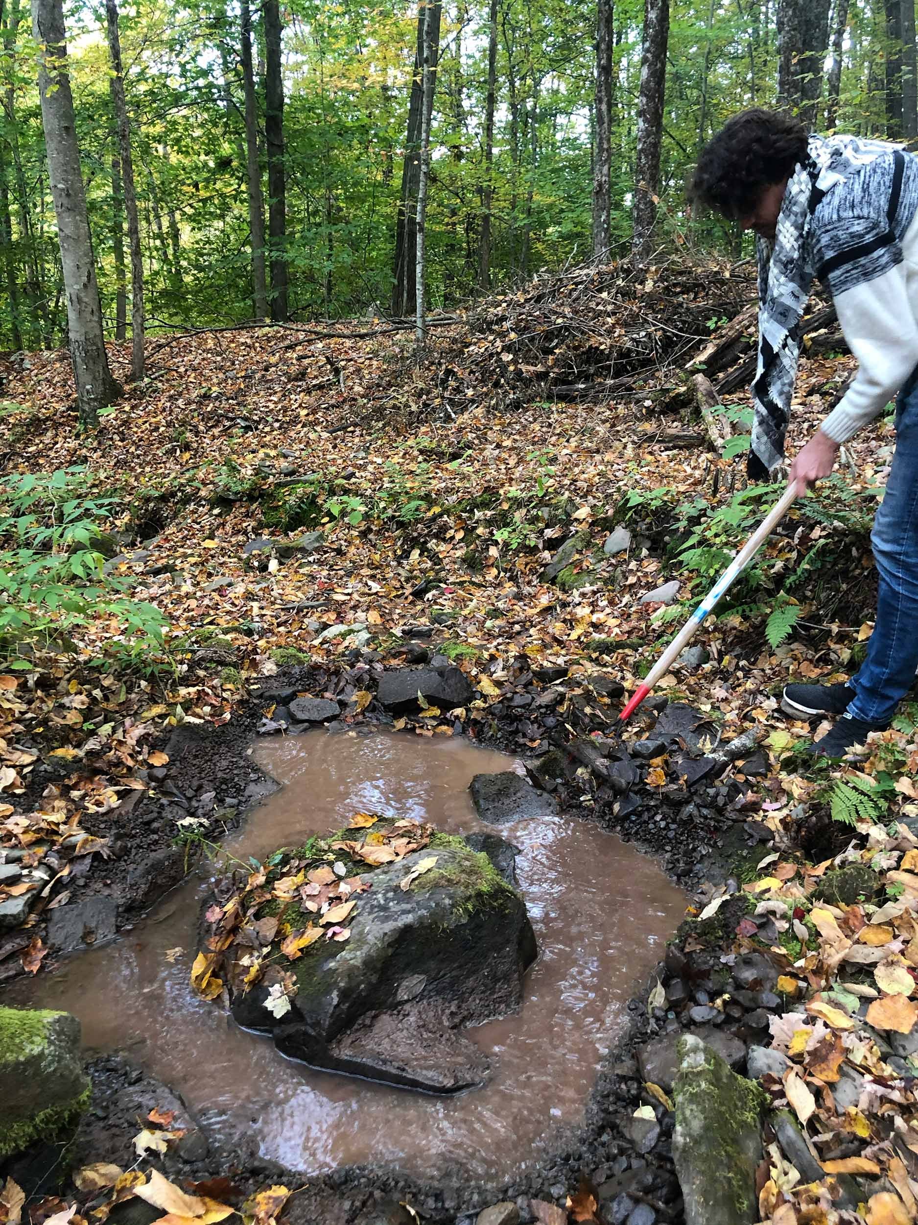 crimsoncatskills_projectgallery2_kellyjapenesepondkv.jpg