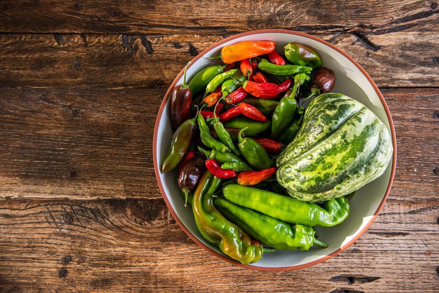 It&rsquo;s pepper season! 🌶 We like to keep our kitchens fresh and spicy with the best #organic produce in Dallas &mdash; right down the street @coxfarmsmarket_. 🫑 🛒 ❤️