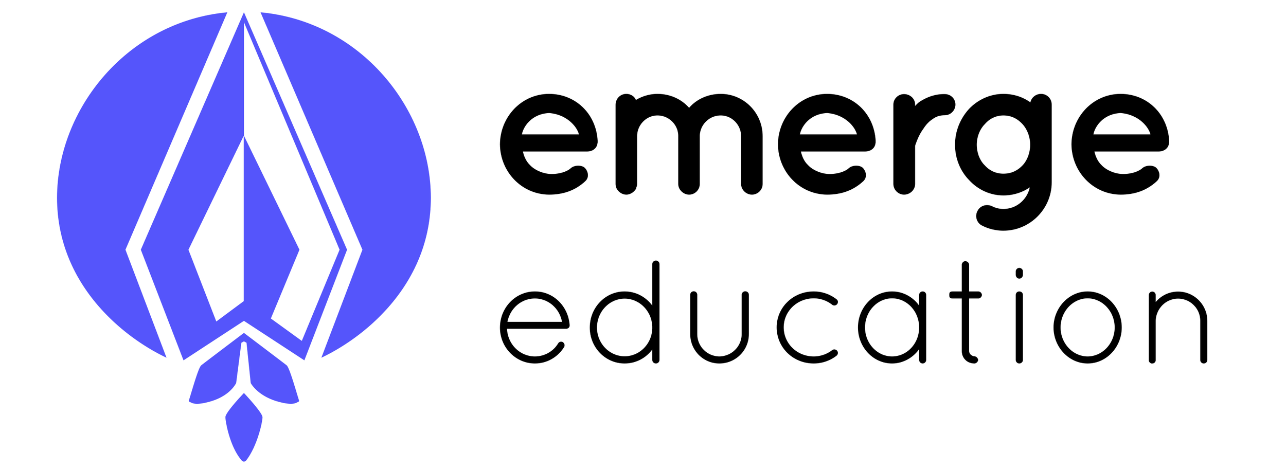 Emerge Education logo with a blue abstract geometric design and black text.