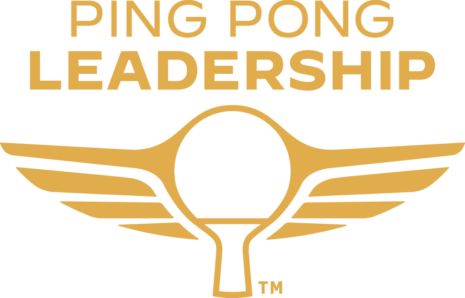 Ping Pong Leadership