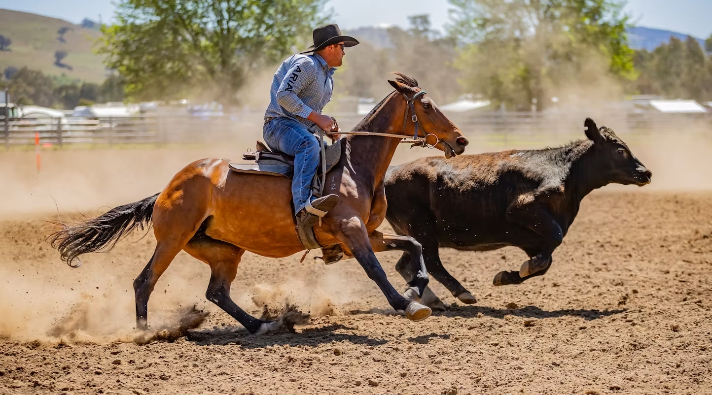 Battle on the Bidgee