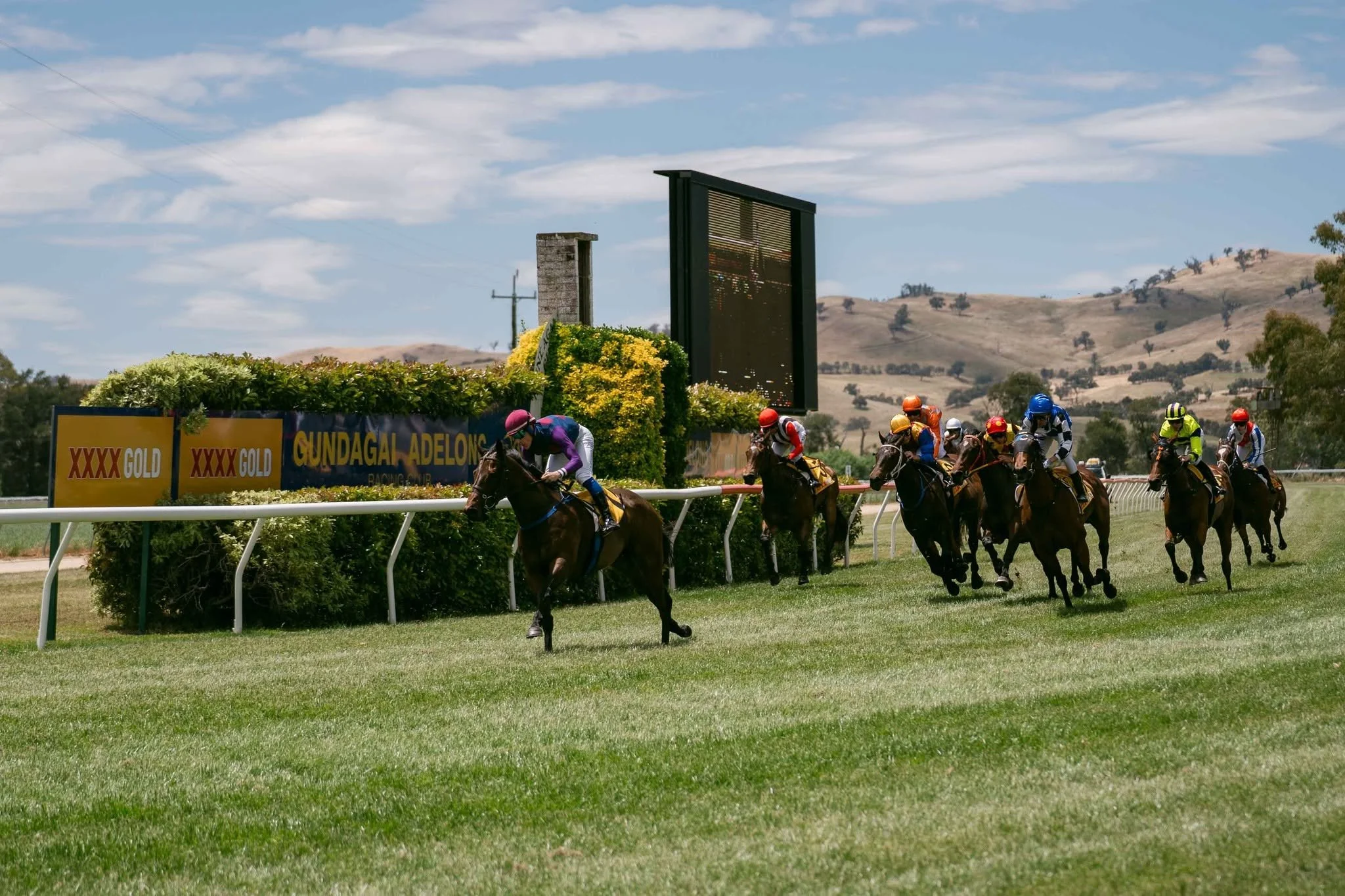 Snake Gully Cup Carnival