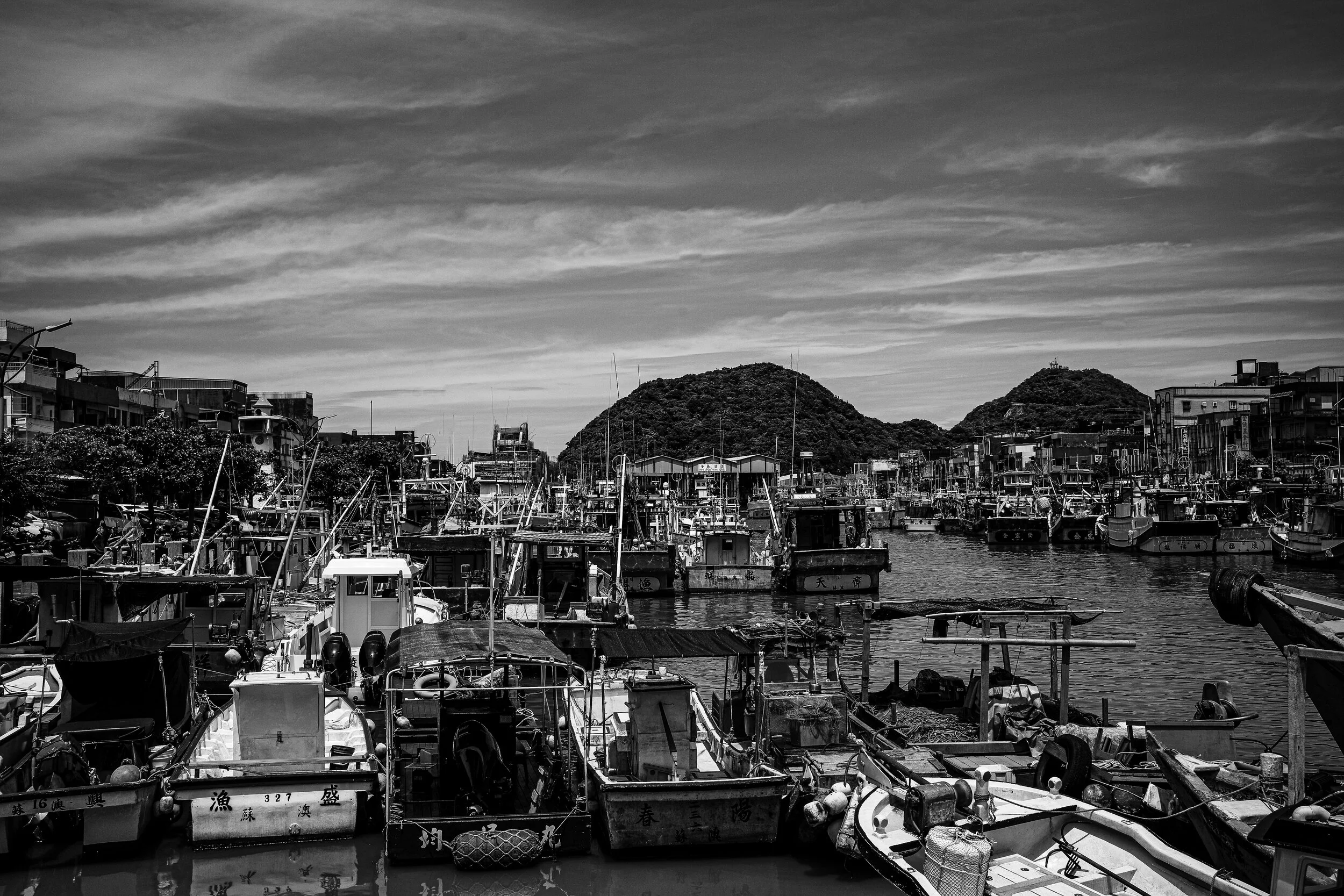 L1001753.jpg