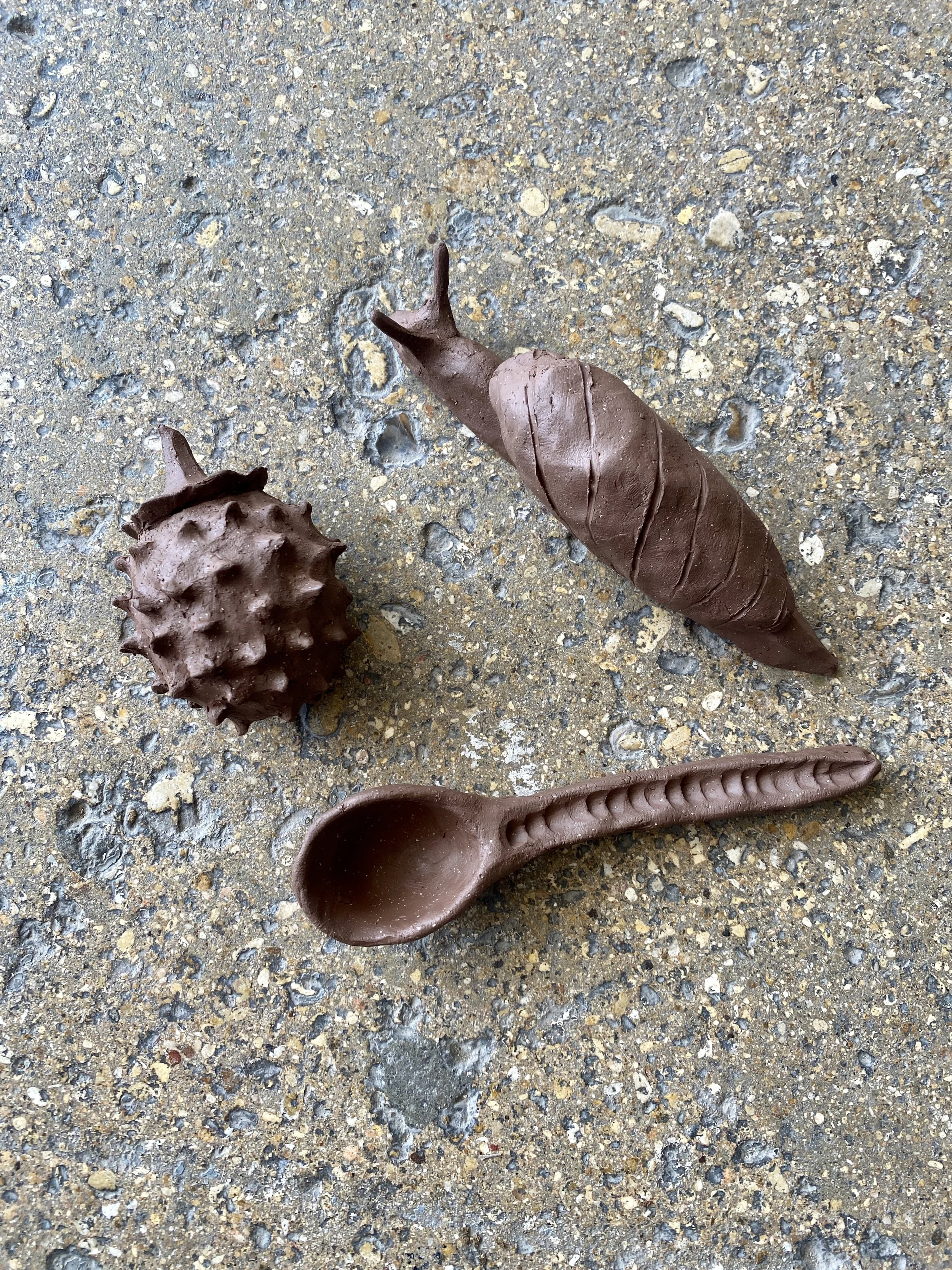 2026 April Snail Spoon Seed Pod.jpg