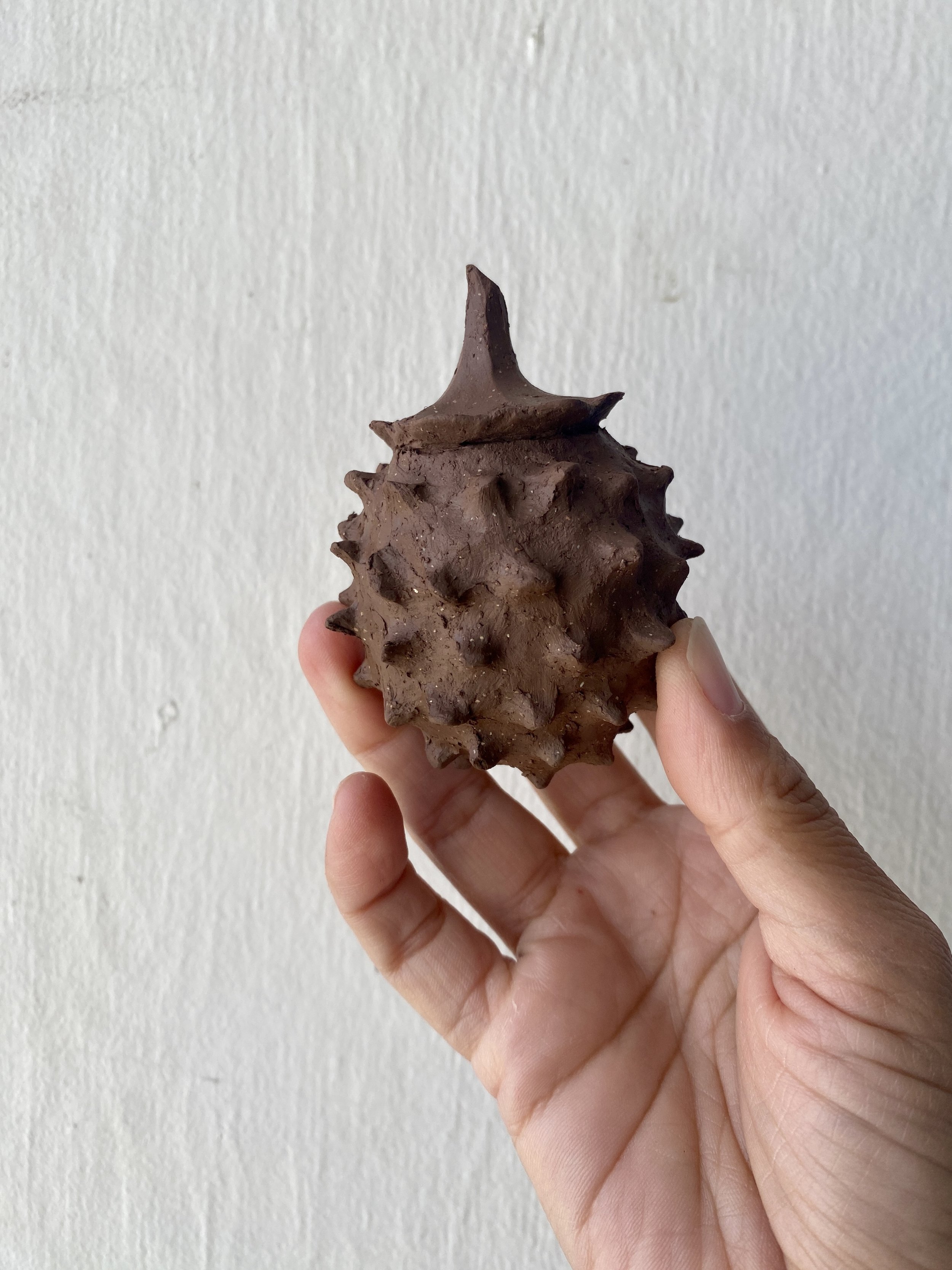 2026 April Seed Pod.jpg