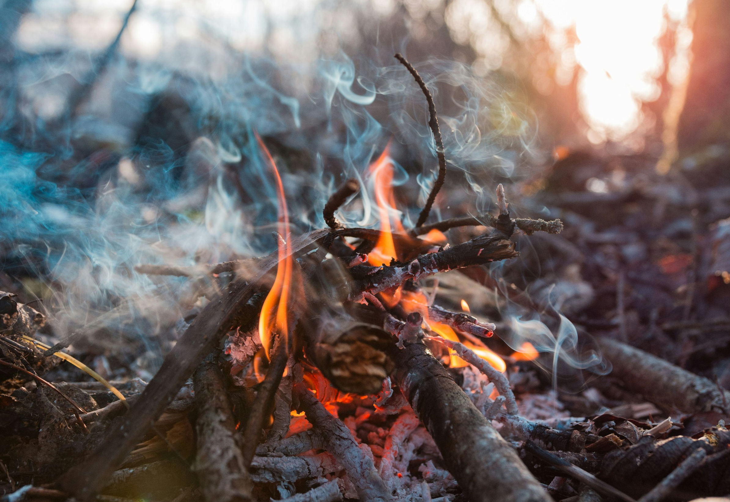 Beltane: Embodied Breathwork Ceremony - Online