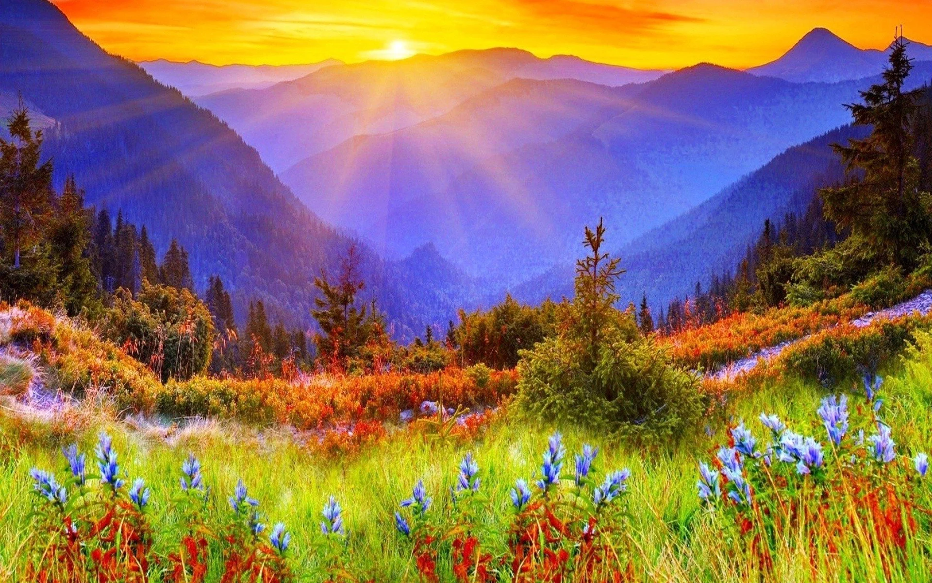 Spring Equinox & New Moon Movement & Breathwork Ceremony with Live Music from Eliza Hope Kenyon