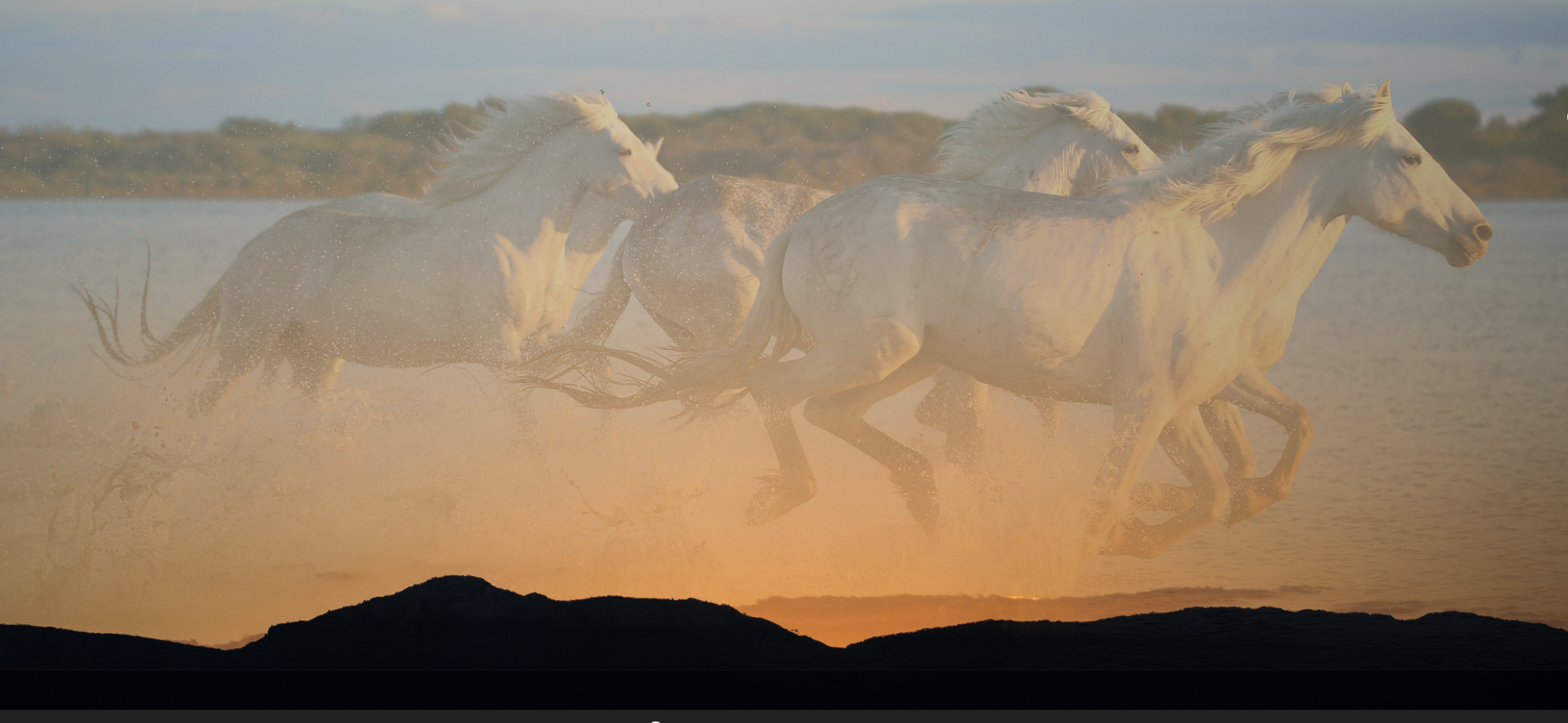 Spring Equinox Movement &amp; Breathwork Ceremony with Live Music from Eliza Hope Kenyon