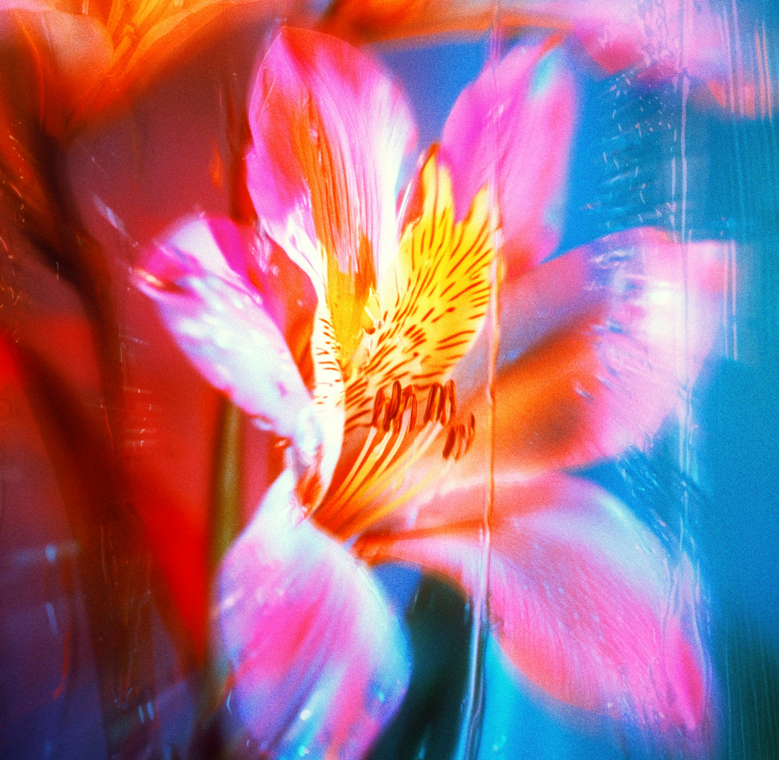 REBIRTH: Beltane Breathwork Ceremony with Benjamin Tree - Online