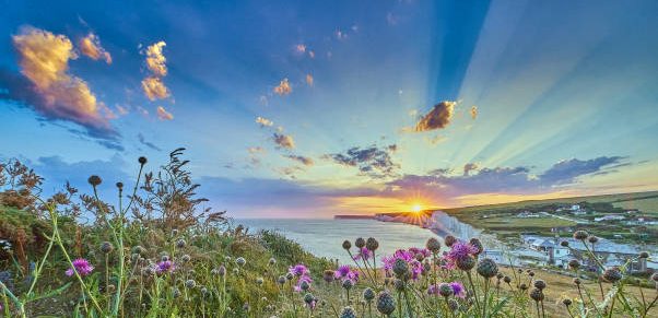 Spring Equinox Movement &amp; Breathwork Ceremony with Live Music from Eliza Hope Kenyon