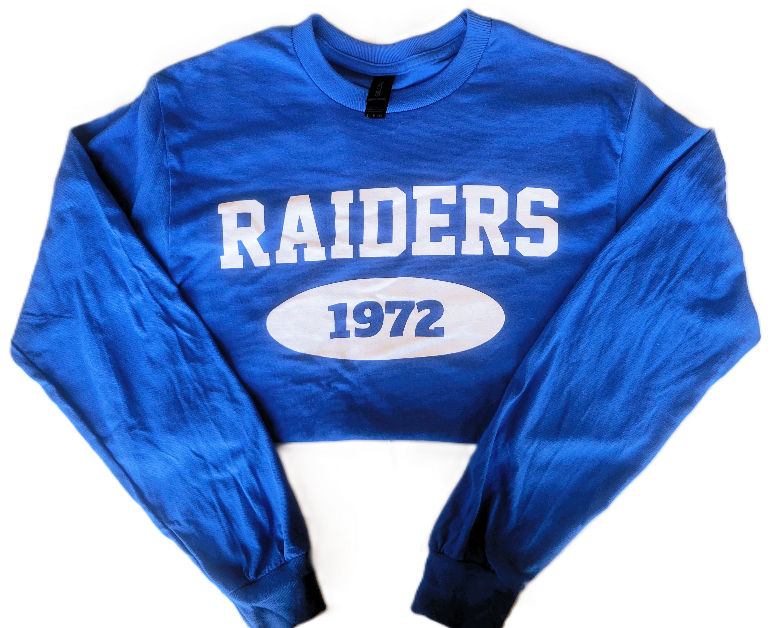Raiders LS Tee.png