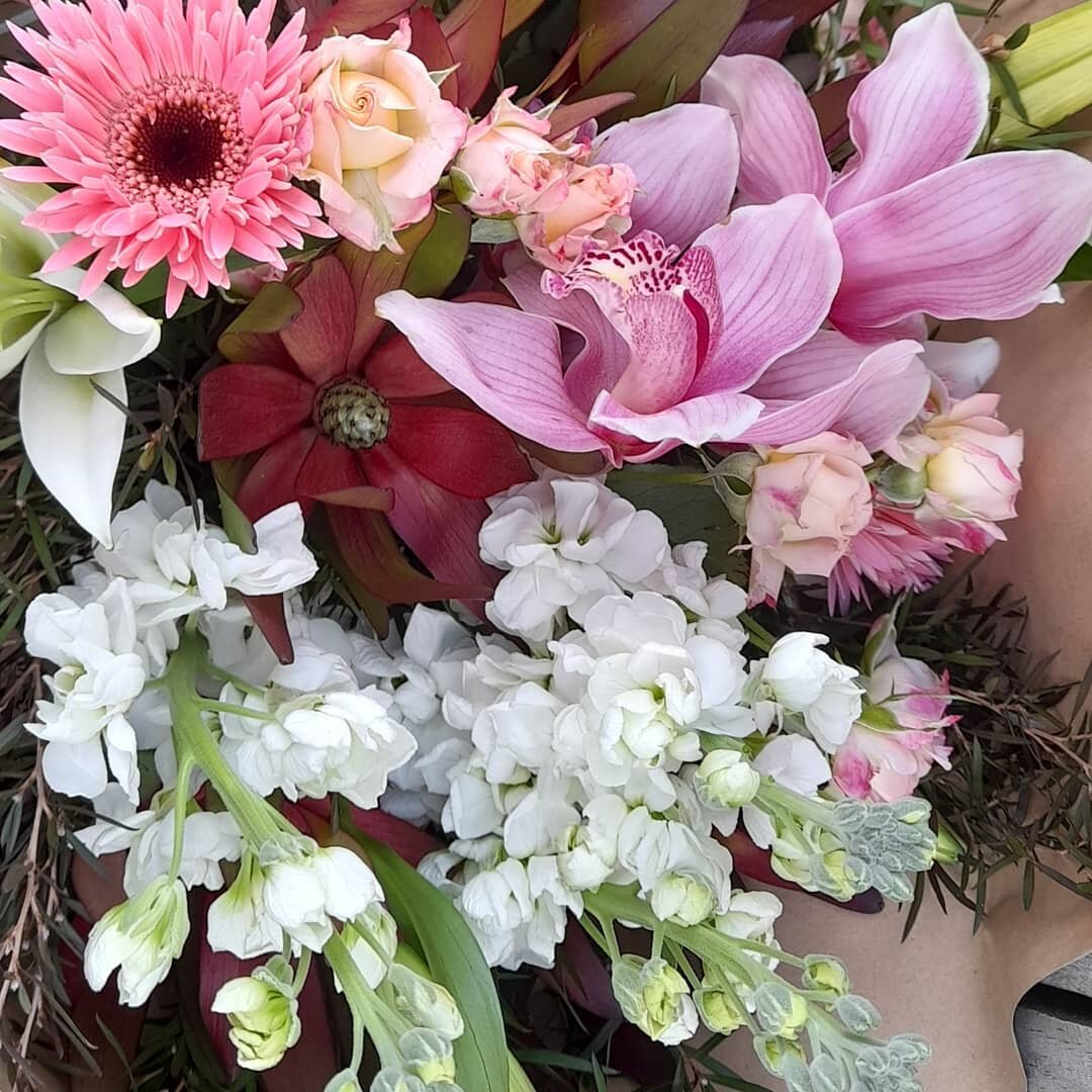 A bit of this... a bit of that...

#flowers #florist #local #localflorist #hobsonville #hobsonvillepoint #auckland #westharbour #farmersmarket #artisan #color #birthday #bouquet #posy #freshflowers #cutflowers #plant #potplants #householdplants #succ