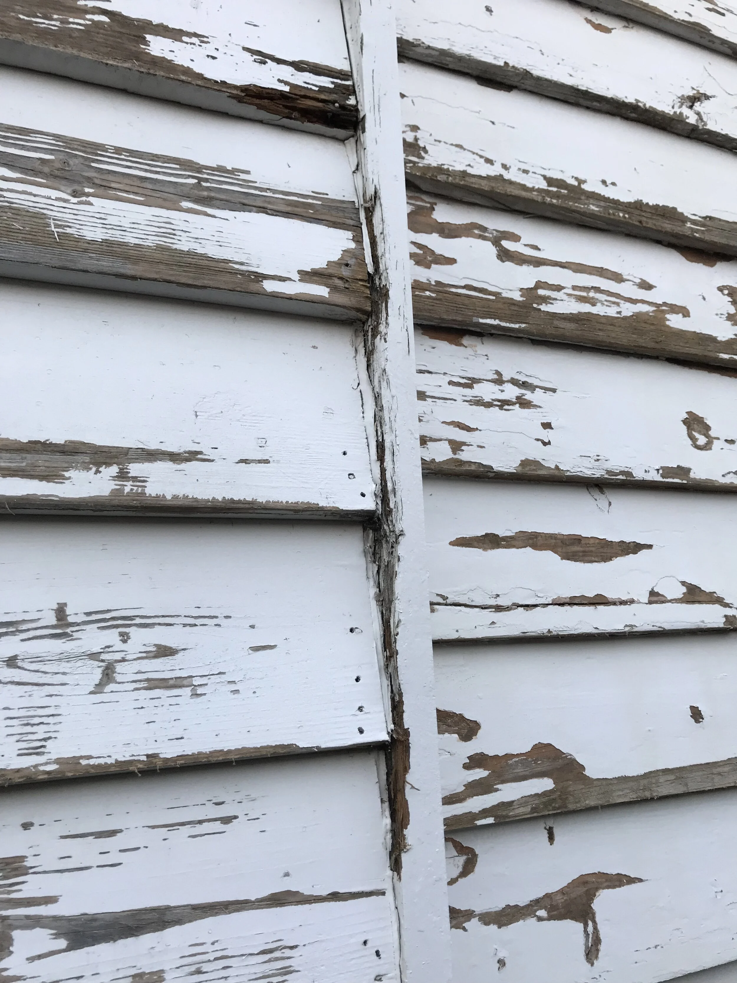 This lovely weatherboard cottage had definitely seen some better days. Thanks to our proven preparation process  we were able to restore the timber weatherboards and bring this home back to its former glory.