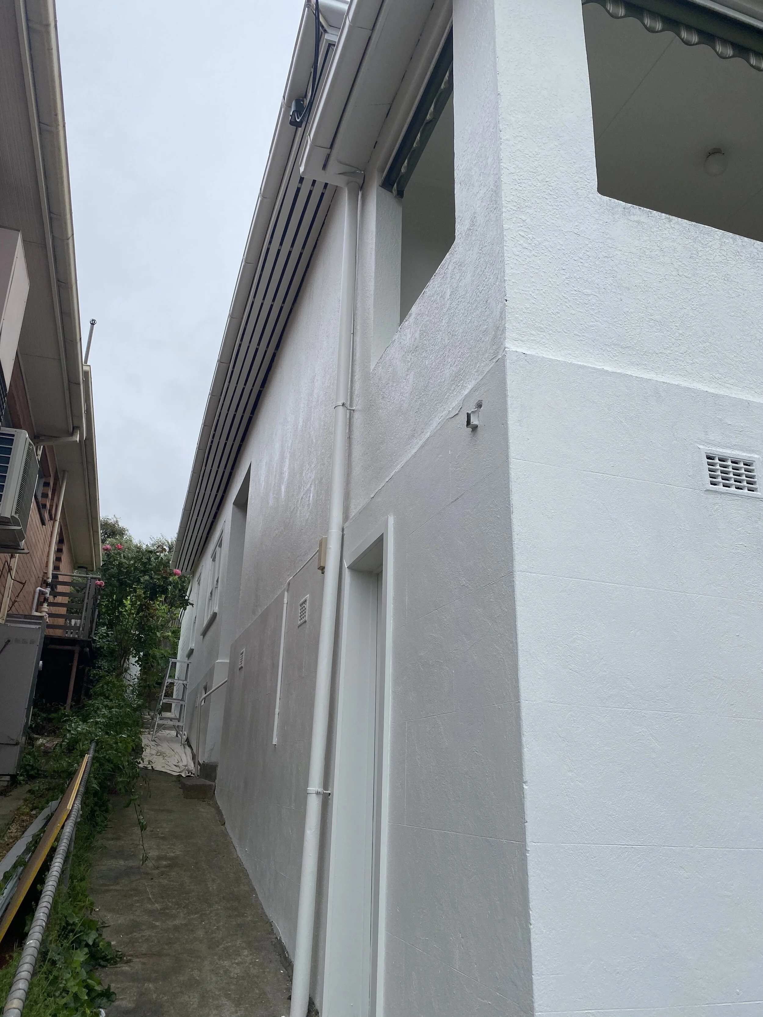 IMG_0085.jpeg