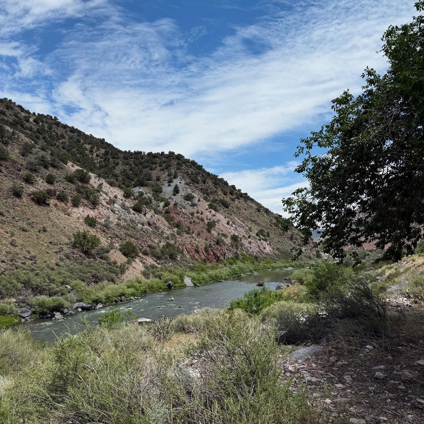 The Rio Grande was a stunning view to witness along the journey to Taos, NM. 

#santaf&eacute; #taos #riogrande #retreat #adventure #athomewithchachamama