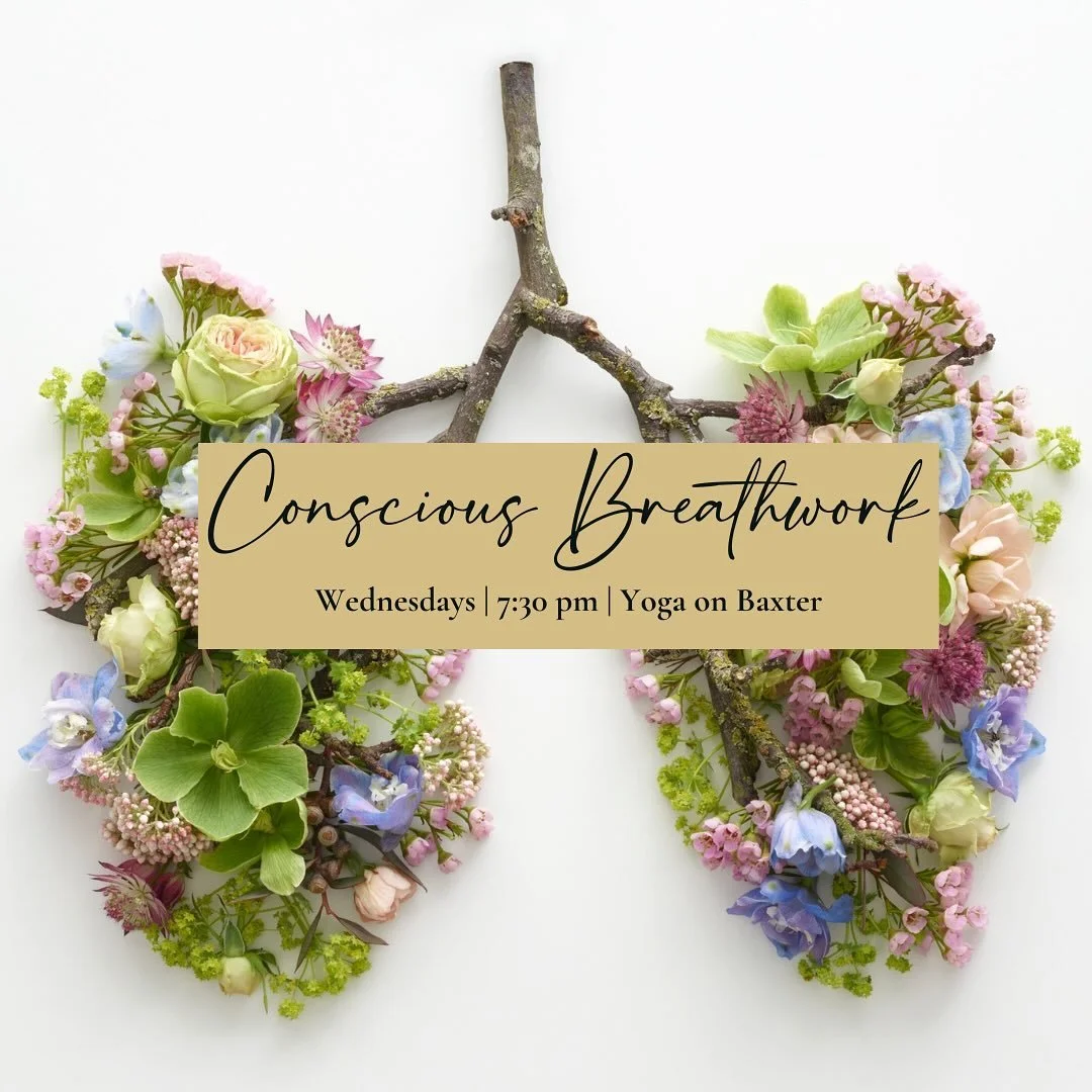 Join me for Conscious Breathwork &mdash; tomorrow and every Wednesday at 7:30 PM.

This weekend marks the Fall Equinox and the closing of eclipse season with a solar eclipse. 🌞🌑

Let&rsquo;s journey inward together with the medicine of your breath.