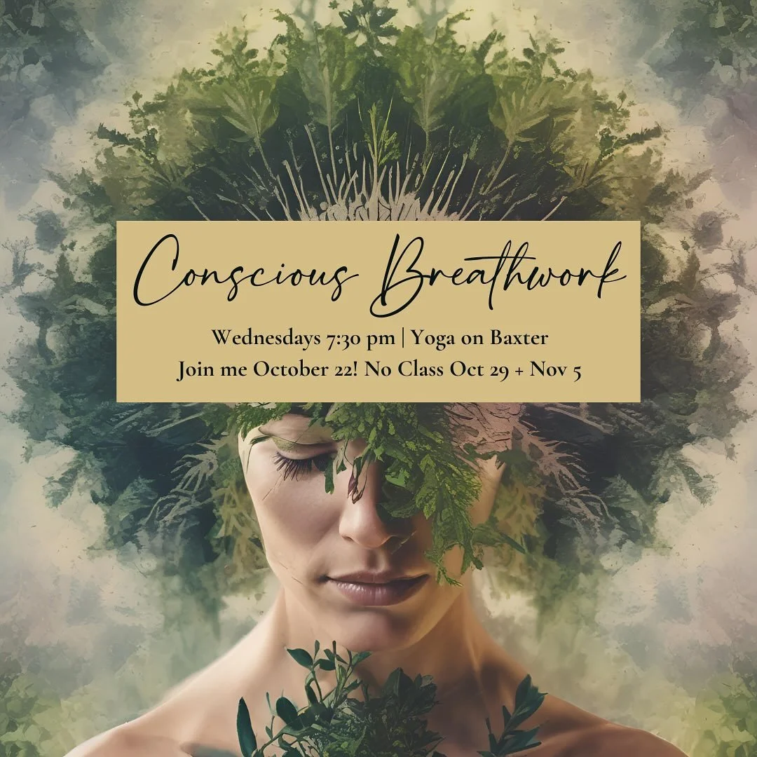 🌬️ Conscious Breathwork Wednesdays 🌿
🕢 Wednesdays | 7:30 PM
📍Yoga on Baxter, Louisville, Ky

Join me for class this week, Wednesday October 22! No class October 29 and November 5&hellip; I&rsquo;ll be out of the country!

Join me midweek to reset
