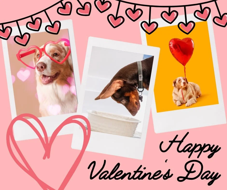 Happy Valentines Day! 💕