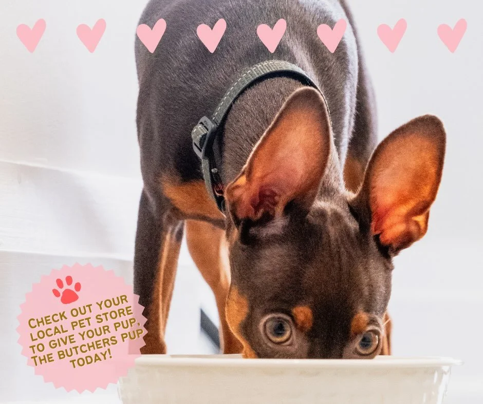 Stop by your local pet store and treat your furry best friend today! 
🐾💕