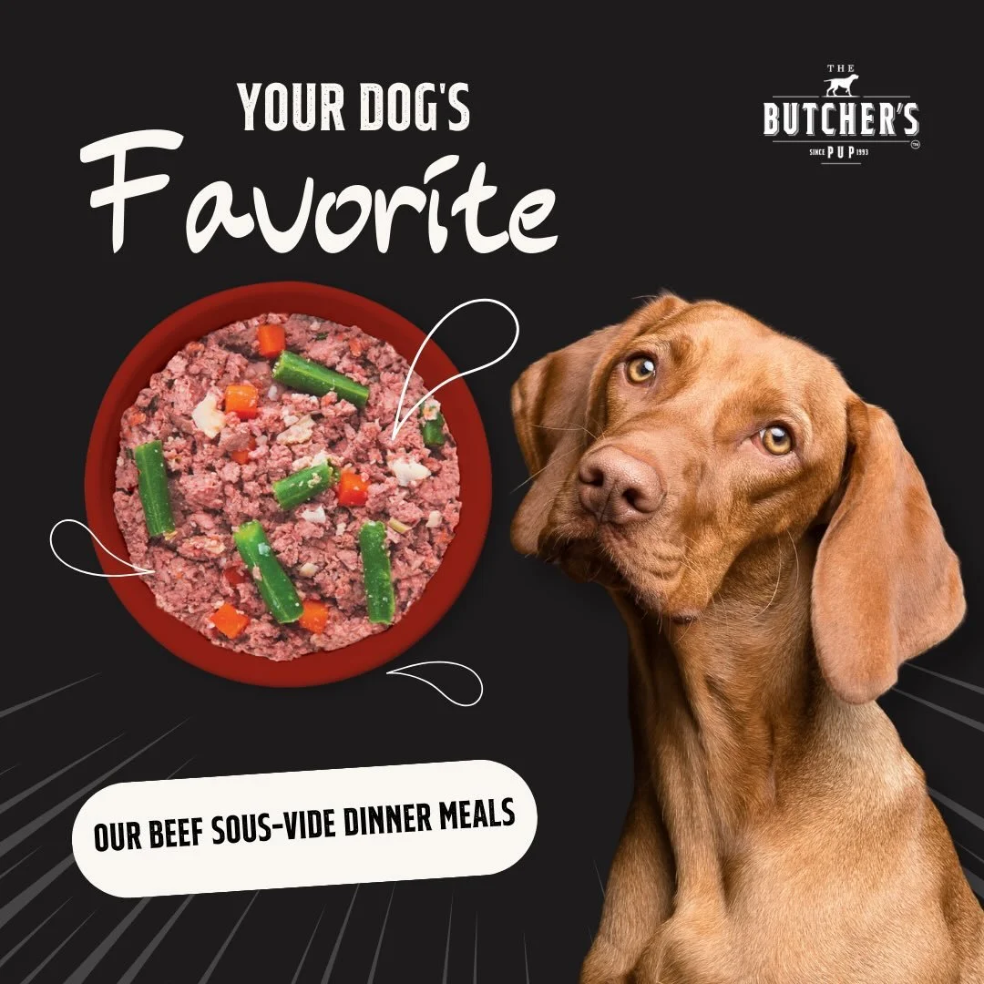 Your dog knows what they love&hellip; and this is it. 🐾🥩

Real beef. Real veggies. Gently cooked sous-vide to lock in flavour and nutrients!because your pup deserves more than just &ldquo;food,&rdquo; they deserve a meal worth getting excited about