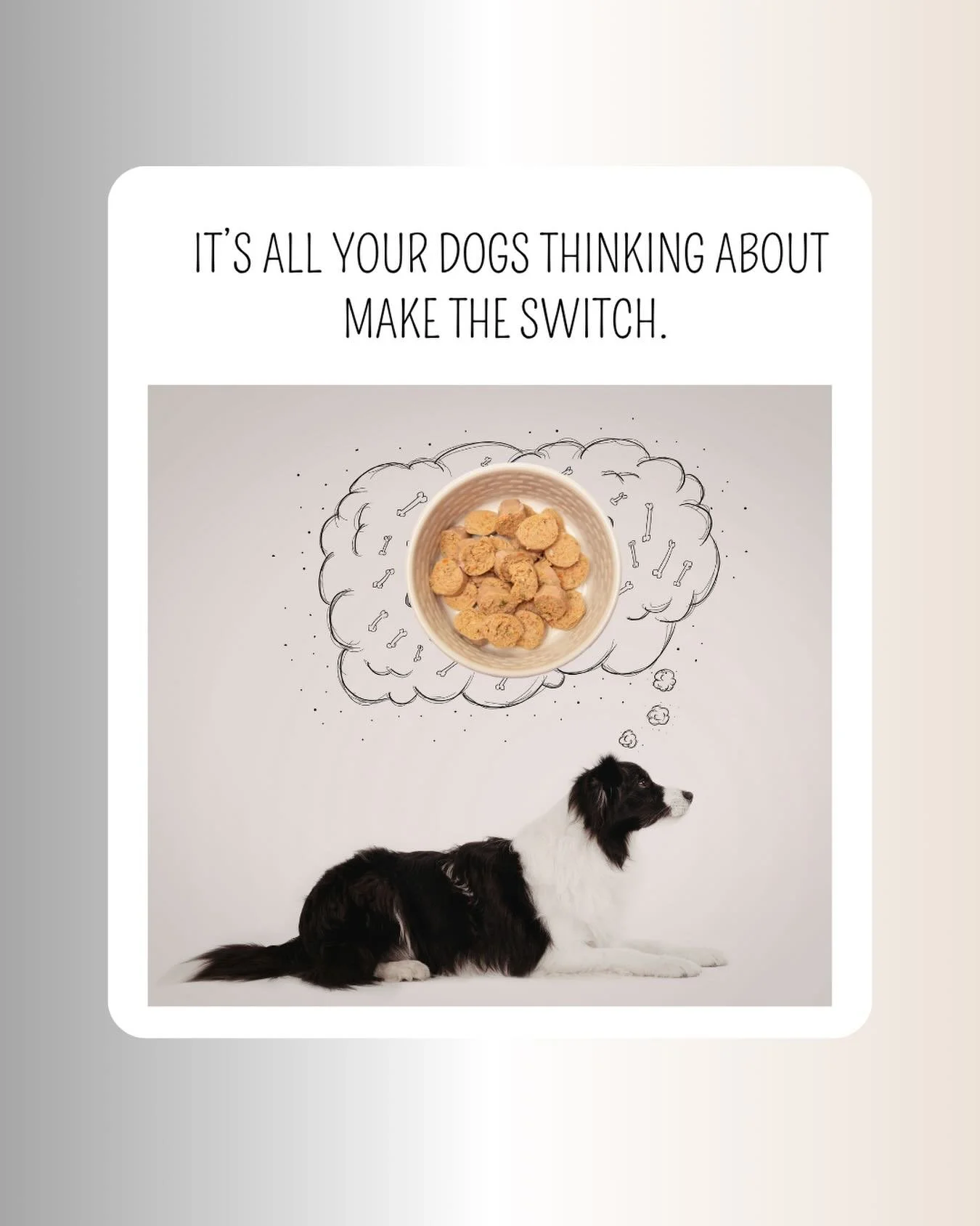 If your pup had it their way, this bowl would be on repeat all day long. 

Real ingredients, gently cooked, and packed with the kind of flavor they can&rsquo;t stop dreaming about.

Go ahead, make the switch. Your dog already has 😉
