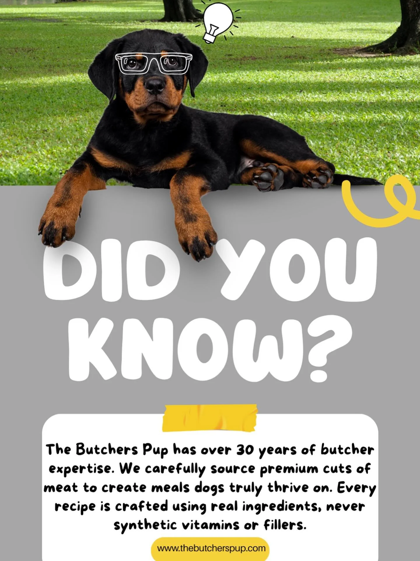 At The Butchers Pup￼, our recipes are backed by over 30 years of butcher expertise. That means carefully sourced premium cuts, real ingredients you can recognize, and meals made to help dogs truly thrive 🥩✨

No synthetic vitamins.
No fillers.
Just r