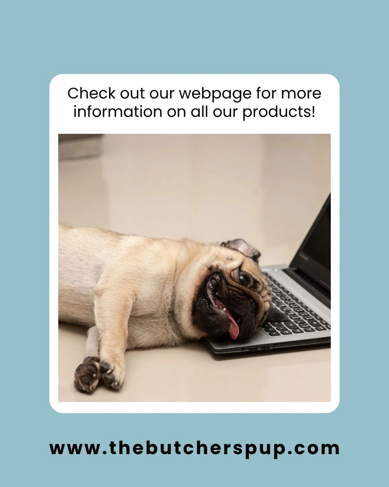 Check out webpage for more information on all our products🐶💻