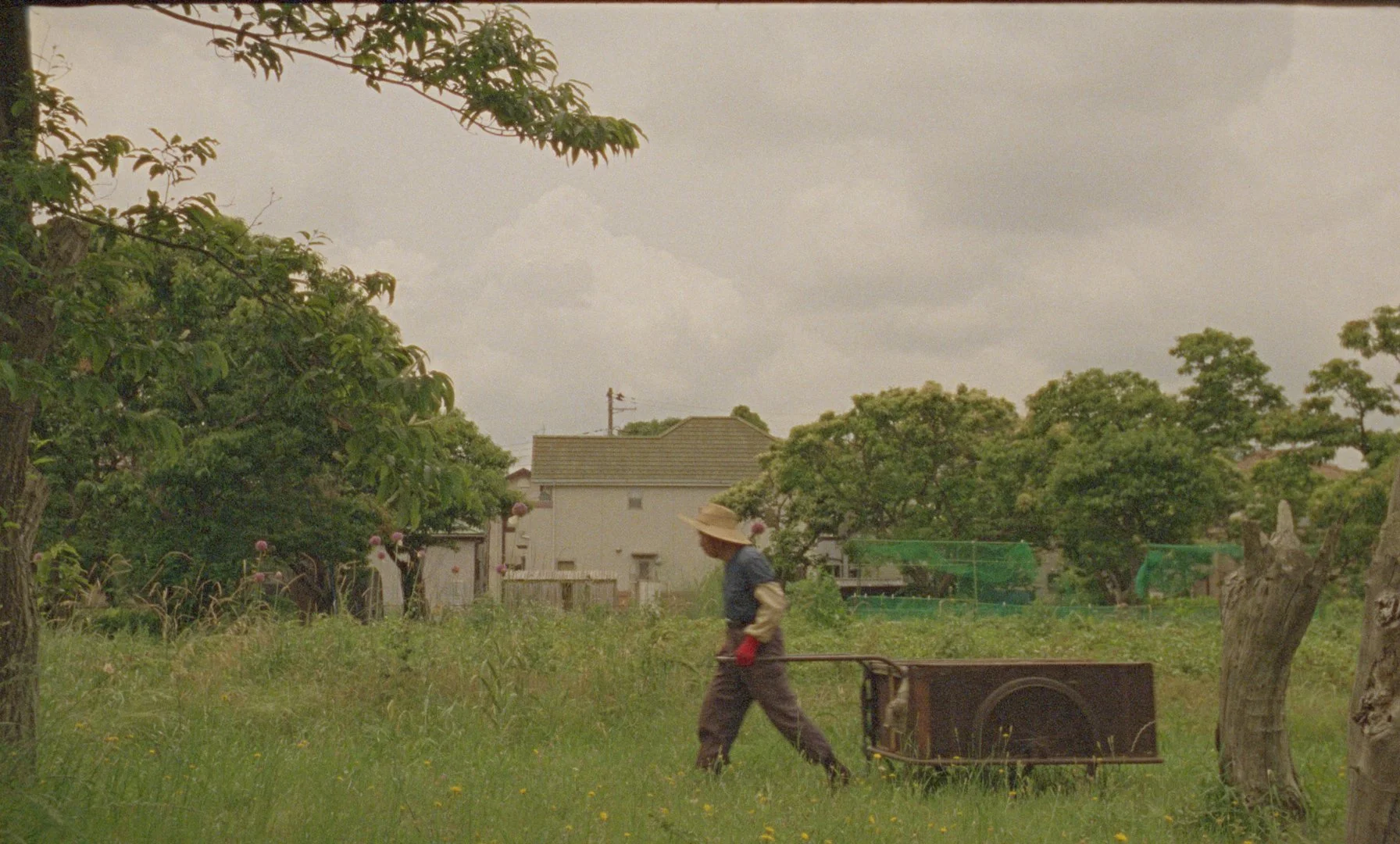 Sequence 01.00_00_00_02.Still009.jpg