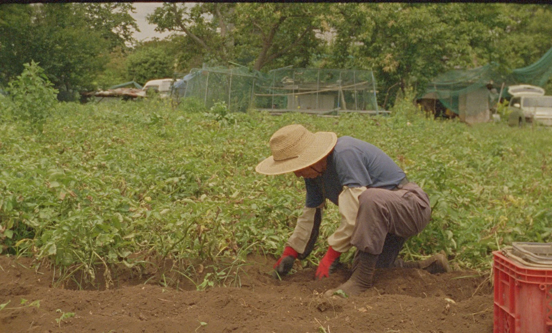 Sequence 01.00_06_24_20.Still011.jpg