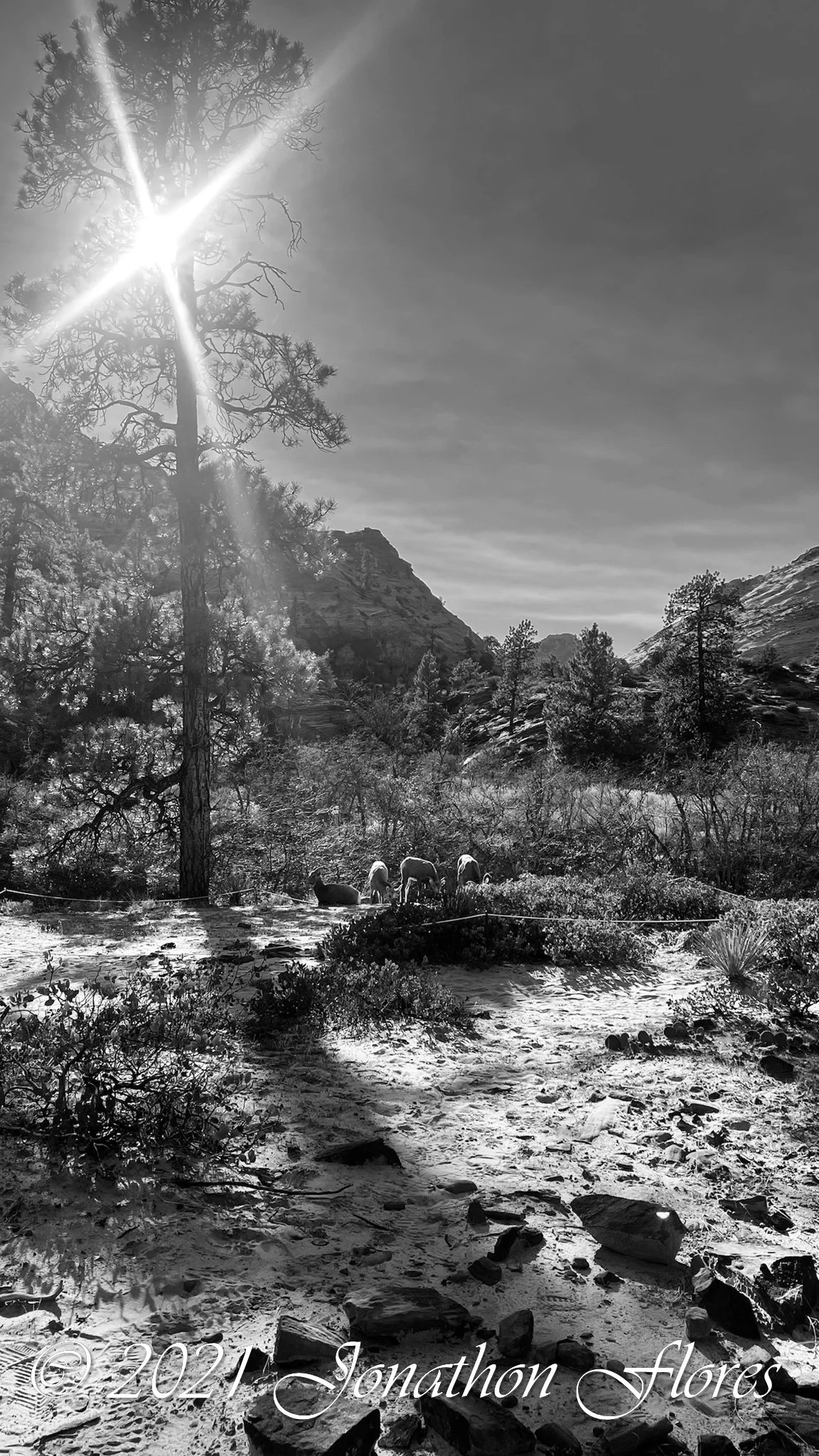 IMG_7472.jpg