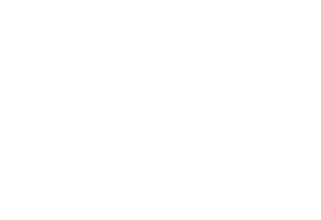 The Cavanagh House