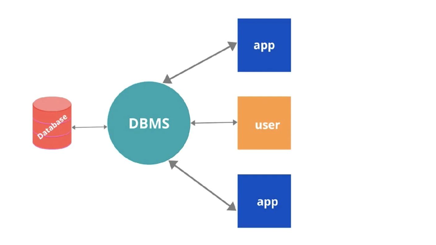 Learn What is Database | Types of Database | DBMS — techTFQ