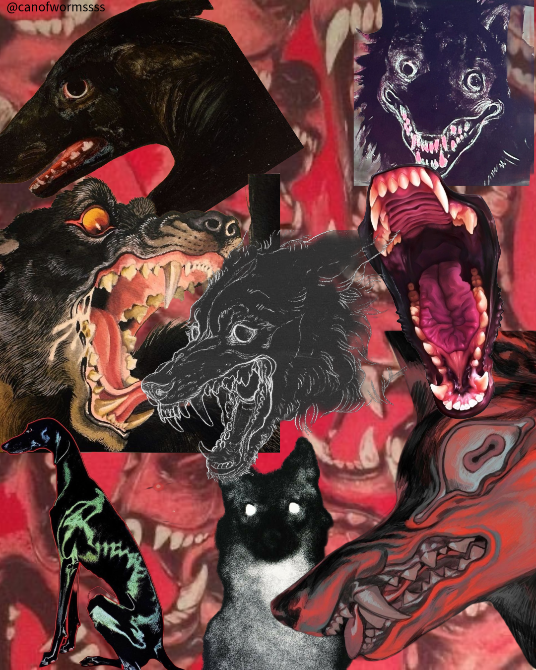 Mad literature and the humane clinic: How my thirst for knowledge and a hearing voices group aided in my recovery