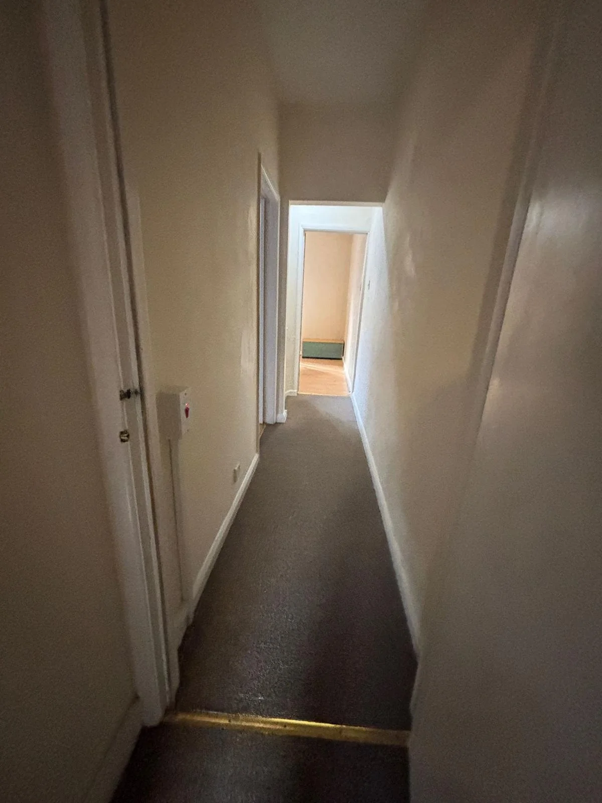 PHOTO-2026-01-20-19-38-51 9.jpg