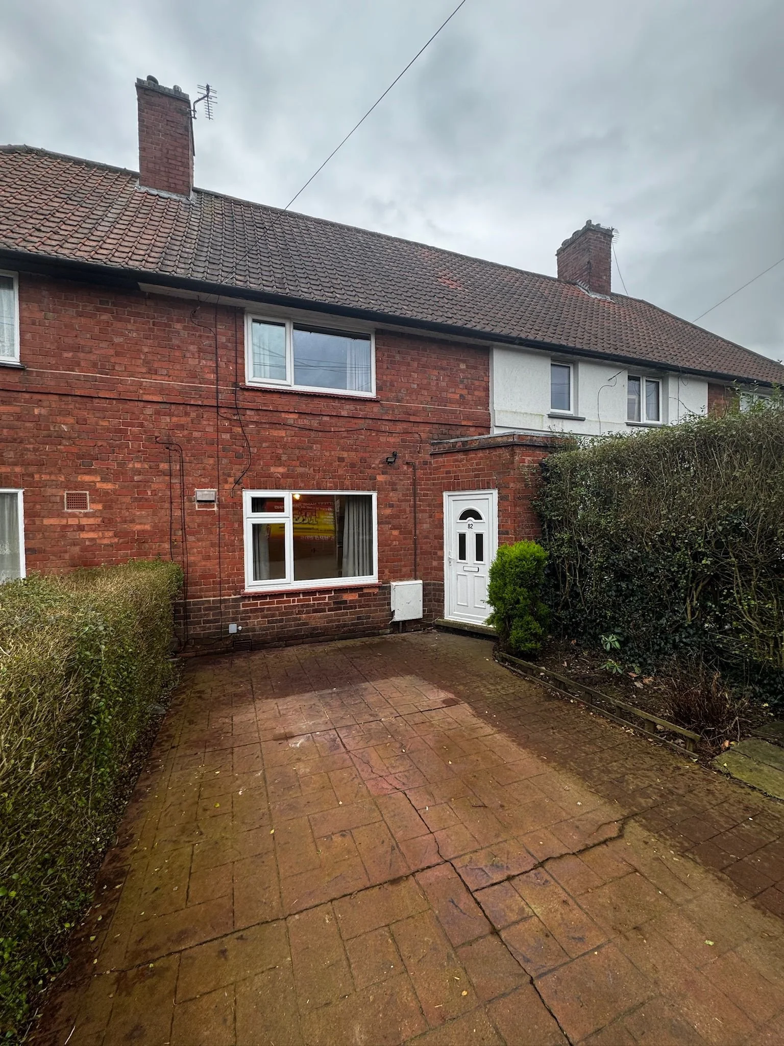 PHOTO-2026-02-27-13-29-41 2.jpg