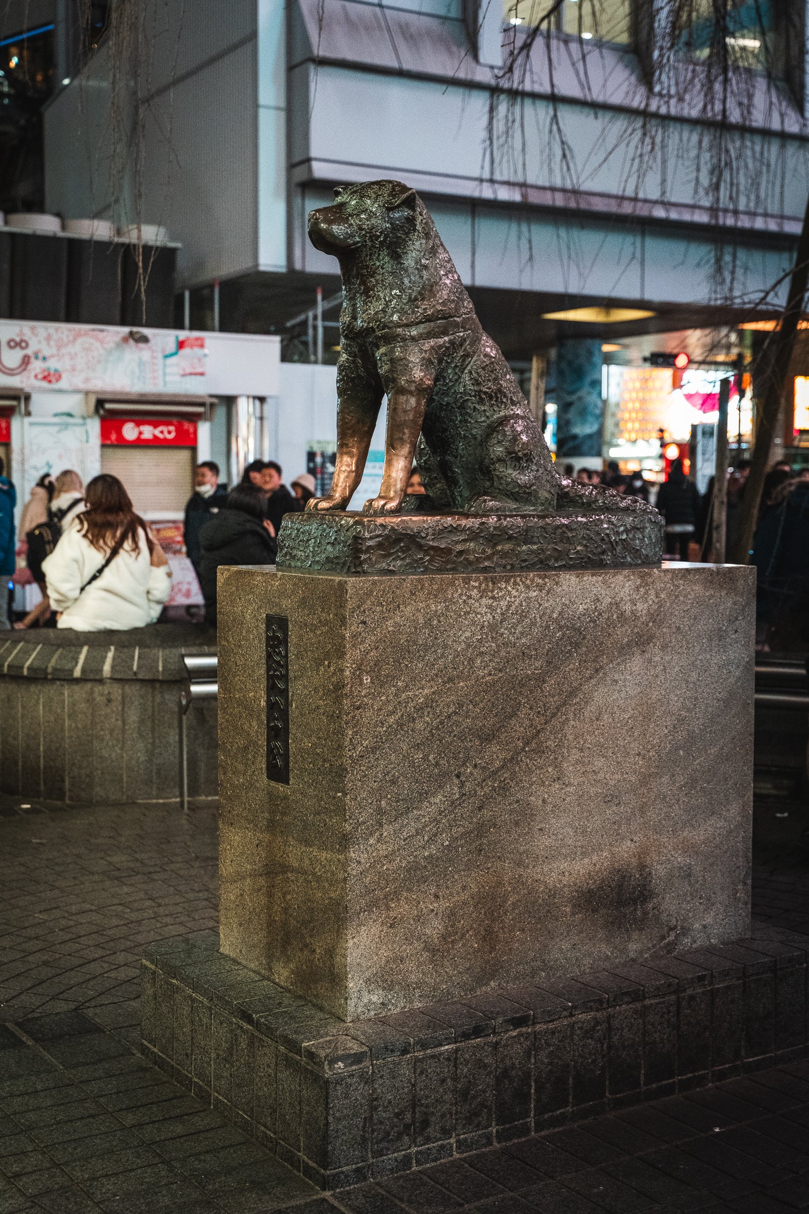 DSC02101.jpg