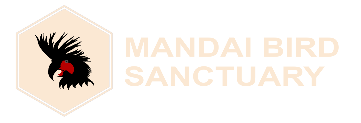 Mandai Birds Sanctuary