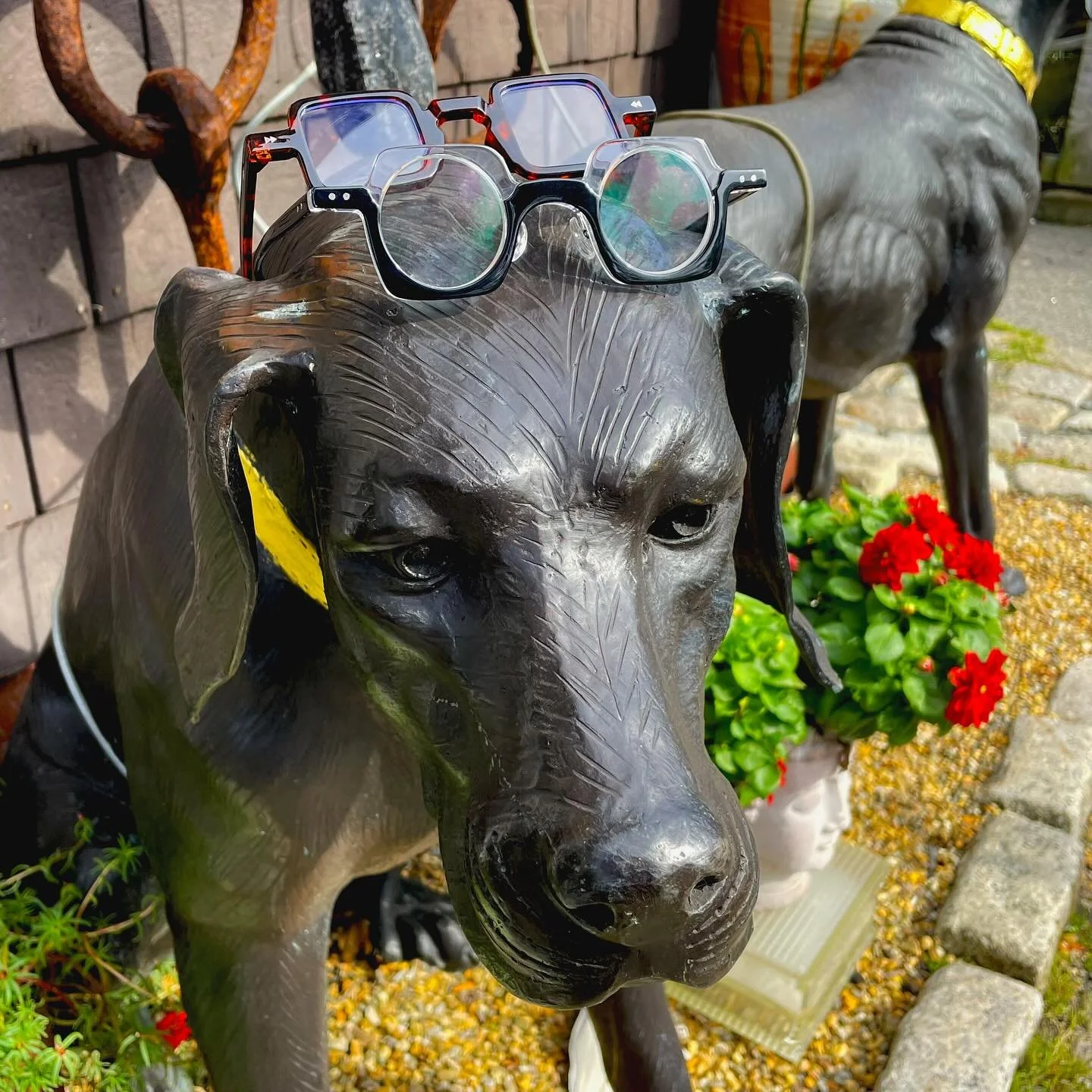 Ready to take your eyewear to the next level?? 🤓 How about these funky readers by Elklook?! 🤩🤩

Come try them on at the gallery, they might be just what you&rsquo;ve been looking for. 👀 

We&rsquo;re open Tuesday through Sunday 10-5 🐶👓

#rockyn