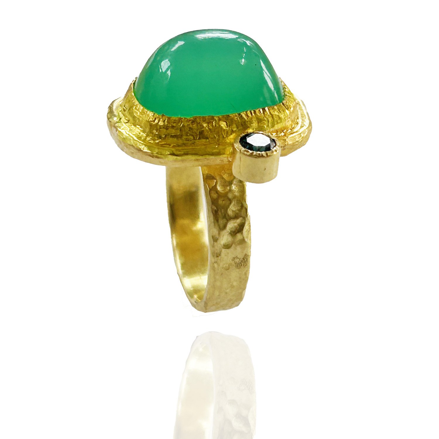 chrysop.jpg