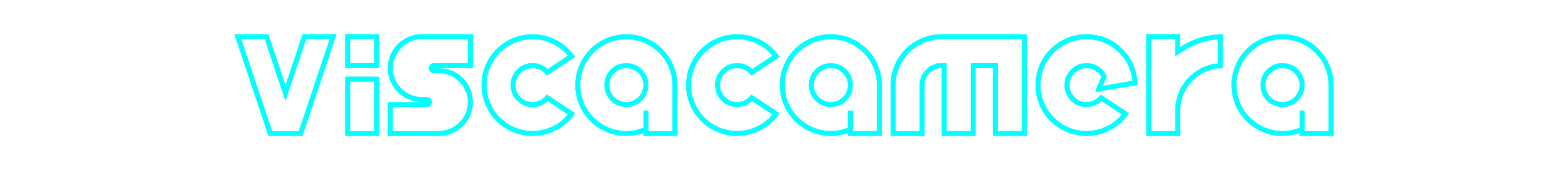 viscacamera_web_logo.png