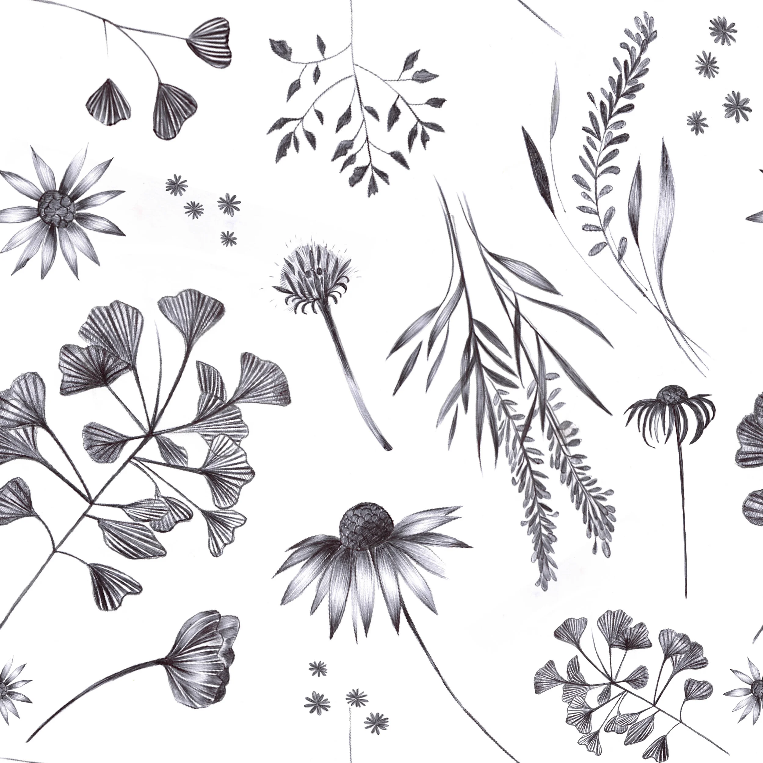Aromatherapies-Print.jpg